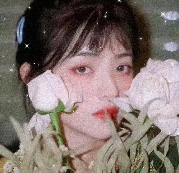 杜巴利伯爵夫人